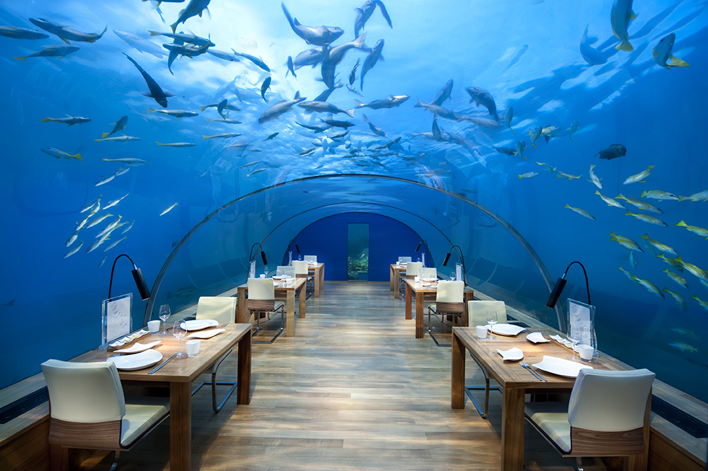 Conrad Maldives_Ithaa Undersea Restaurant (1)