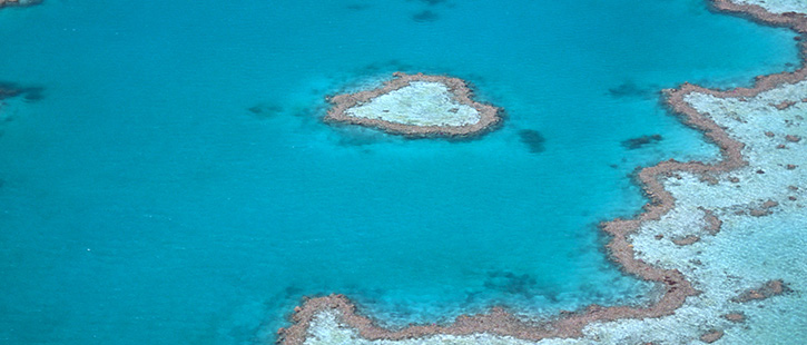 Great-Barrier-Reef-7-725x310px