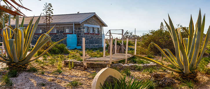 Robben-Island-725x310px