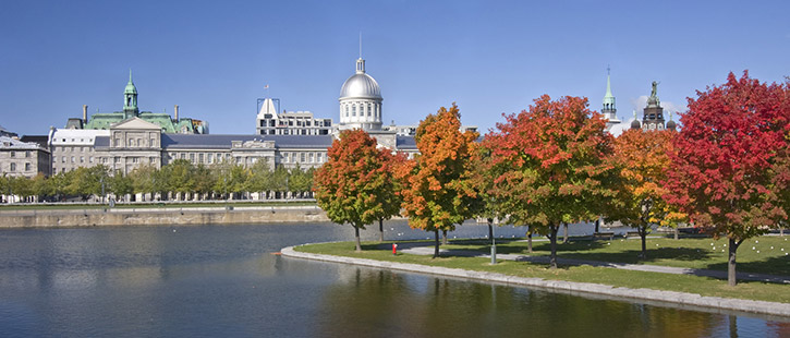 old-montreal-725x310px